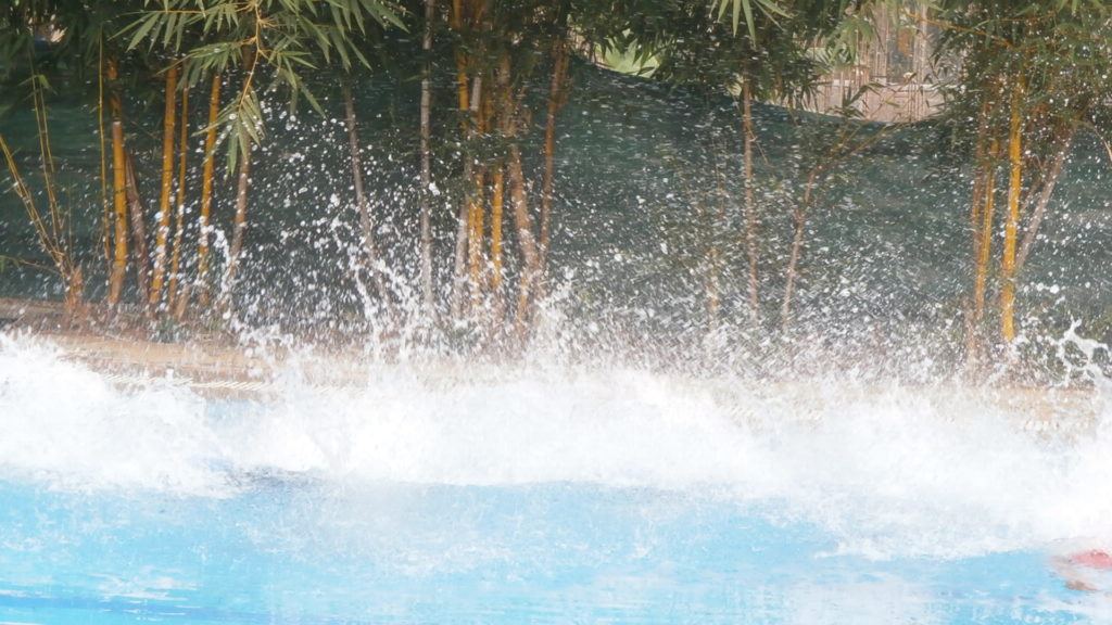 Trialthon & Aquathlon Competition