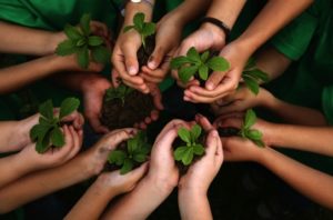 urban Farmers-blog-ameya-cbse-kids-hands-holding-plants