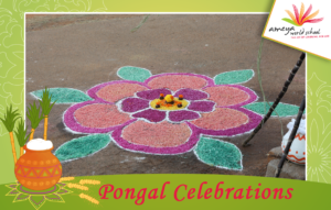 Pongal Celebrations-Ameya