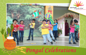 Pongal Celebrations-Ameya