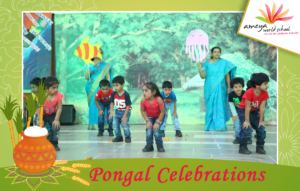 Pongal Celebrations-Ameya