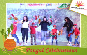 Pongal Celebrations-Ameya