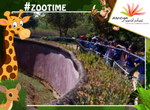 zoo-visit