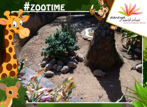 zoo-visit