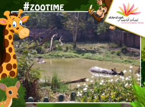 zoo-visit