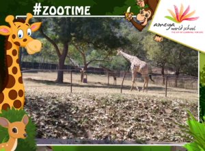 zoo-visit