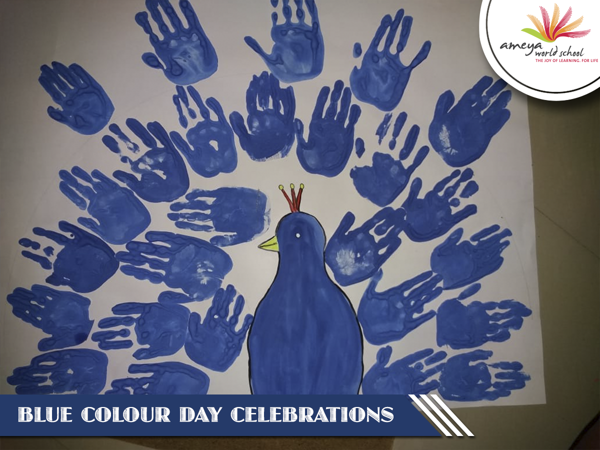 Blue color day activity deals