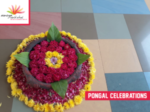 Ameya pongal celebration-1