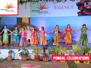 Ameya pongal celebration-2