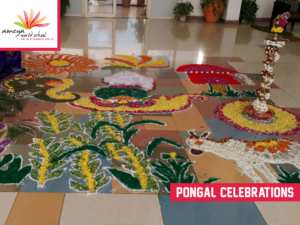 Ameya pongal celebration-4