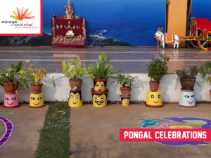 Ameya pongal celebration-5