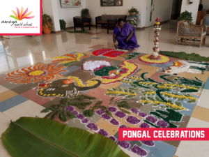Ameya pongal celebration-6