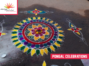 Ameya pongal celebration-7