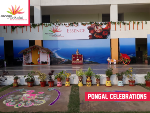 Ameya pongal celebration-8