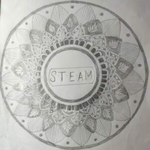 Fancy dress & Steam Competition