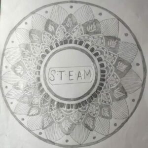 Fancy dress & Steam Competition